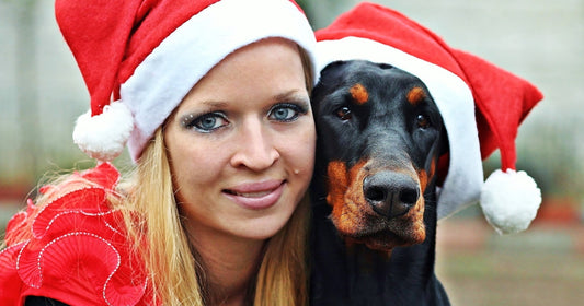 THINGS NOT TO FEED YOUR DOG AT CHRISTMAS