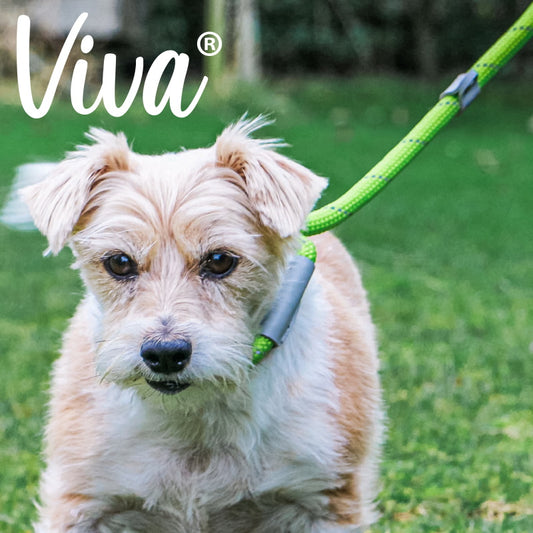 Ancol: Viva Rope Slip Lead Reflective