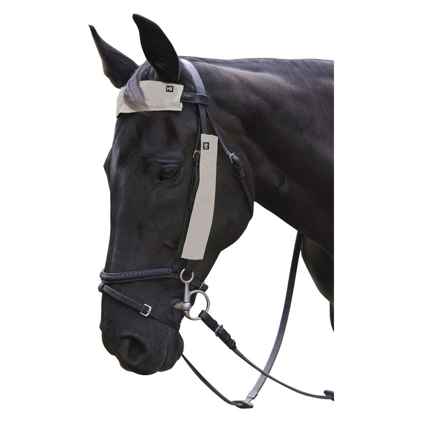 HyViz Silva Flash Bridle Set 3 Pieces: Silver