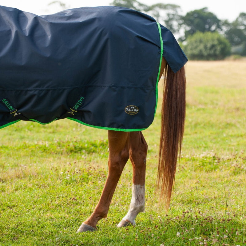 Gallop No Fill Combo Turnout