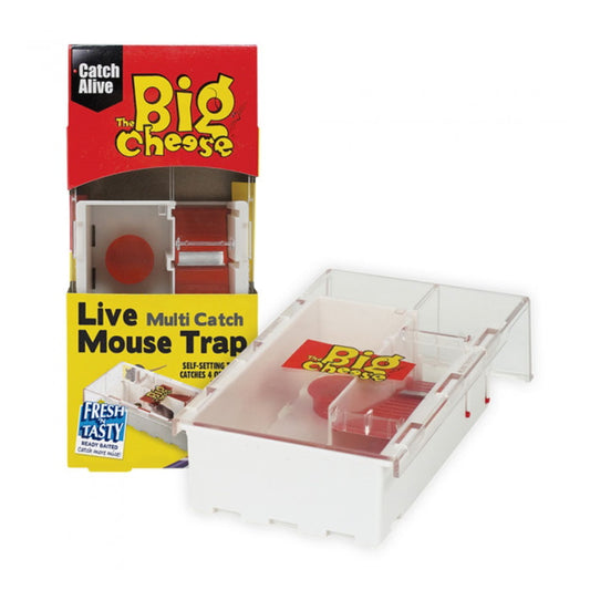 Multi-Catch Mouse Trap Large