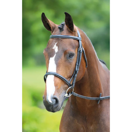 Bridleway Melton Raised Cavesson Bridle inc Reins