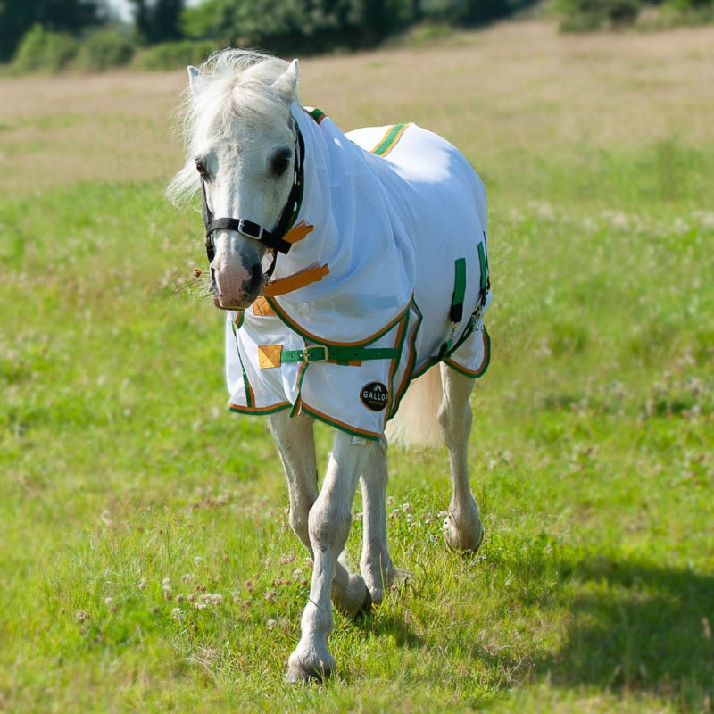 Gallop Fly Mesh Combo Rug