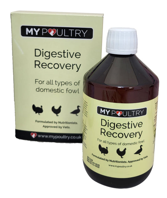 My Poultry: Digestive Recovery 500ml