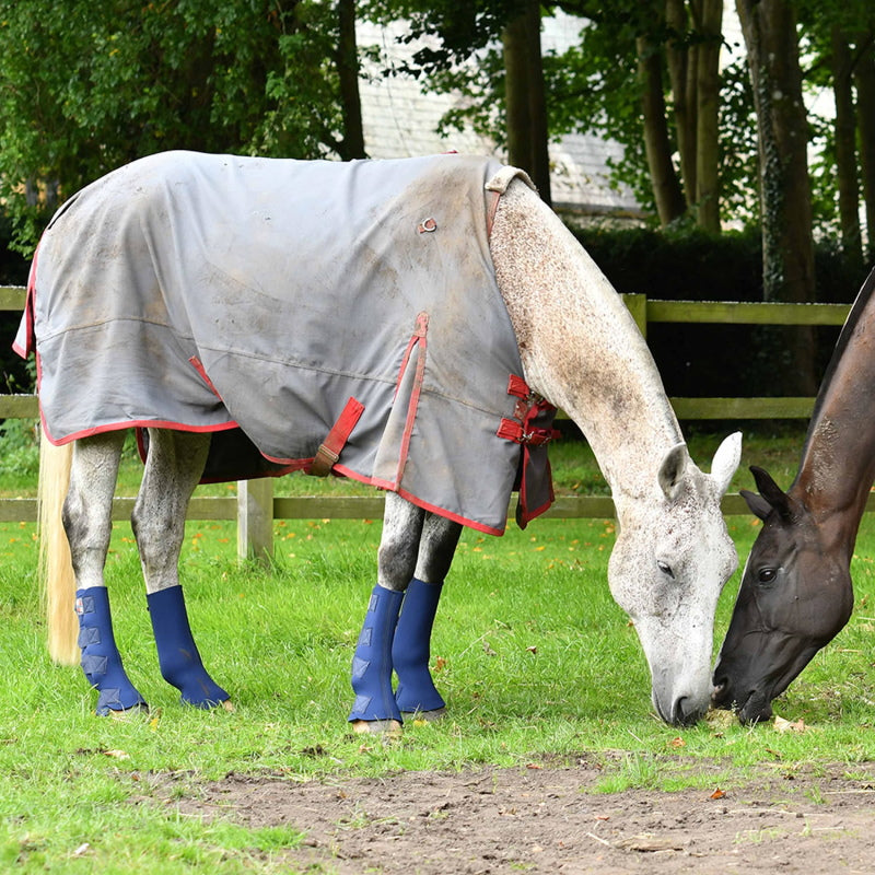 Equilibrium Equi-Hardy Chaps