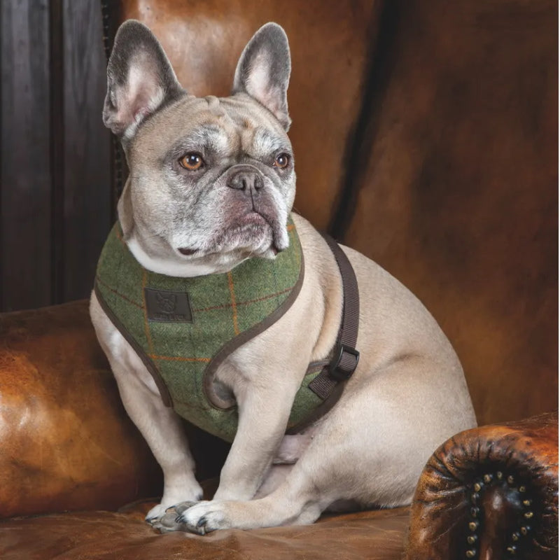Digby & Fox Tweed Dog Harness