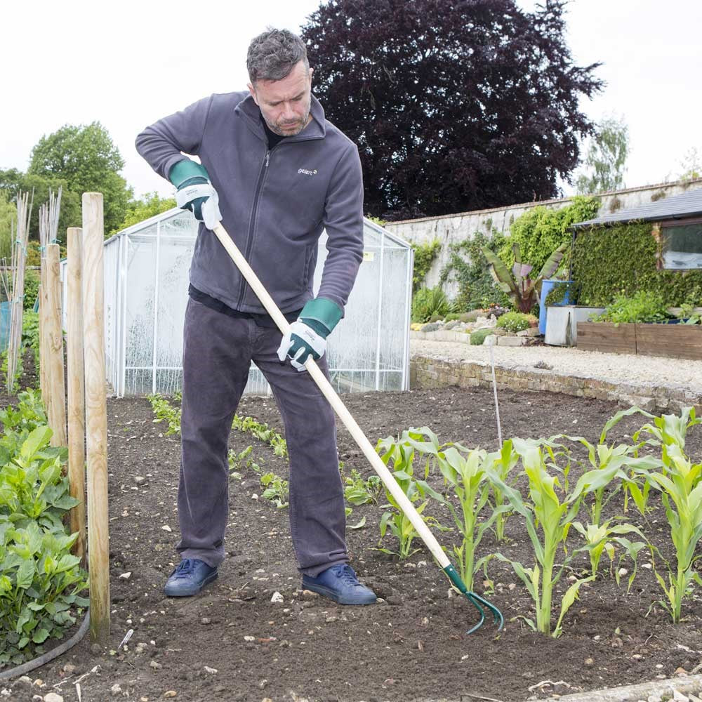 Wilkinson Sword: Carbon Steel 3 Prong Cultivator