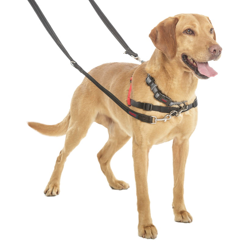 Digby & Fox Heritage Harness Indigo: M