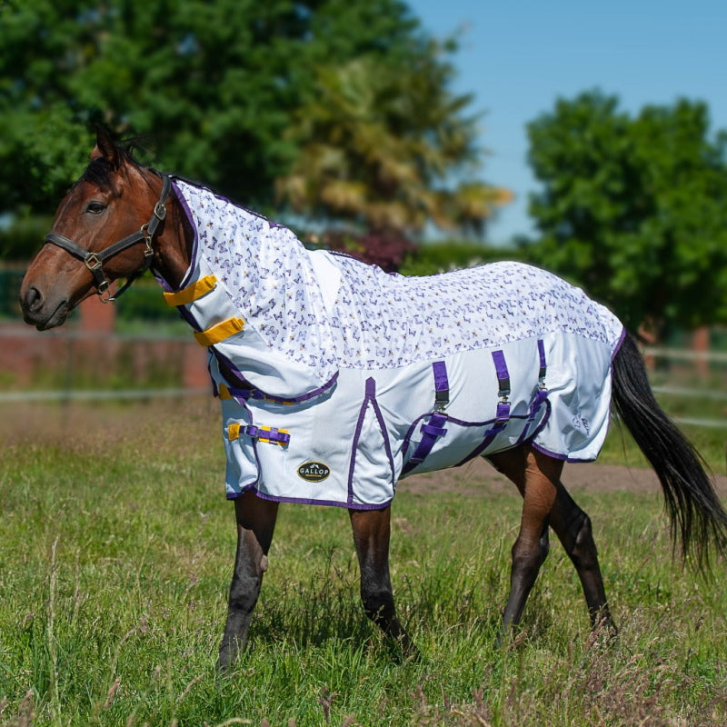 Gallop Bees & Butterflies Combo Fly Rug