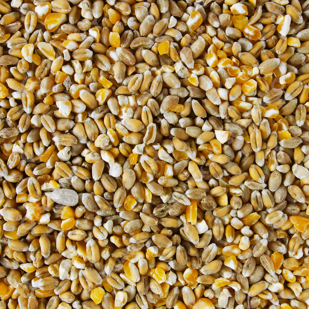 Widmer: Mixed Corn 3kg