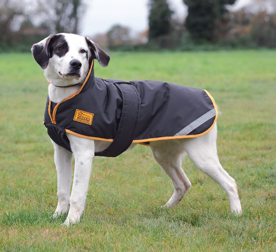 Shires Stormbreaker Dog Coat Black/Gold