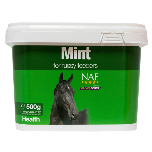 NAF Mint 500gm