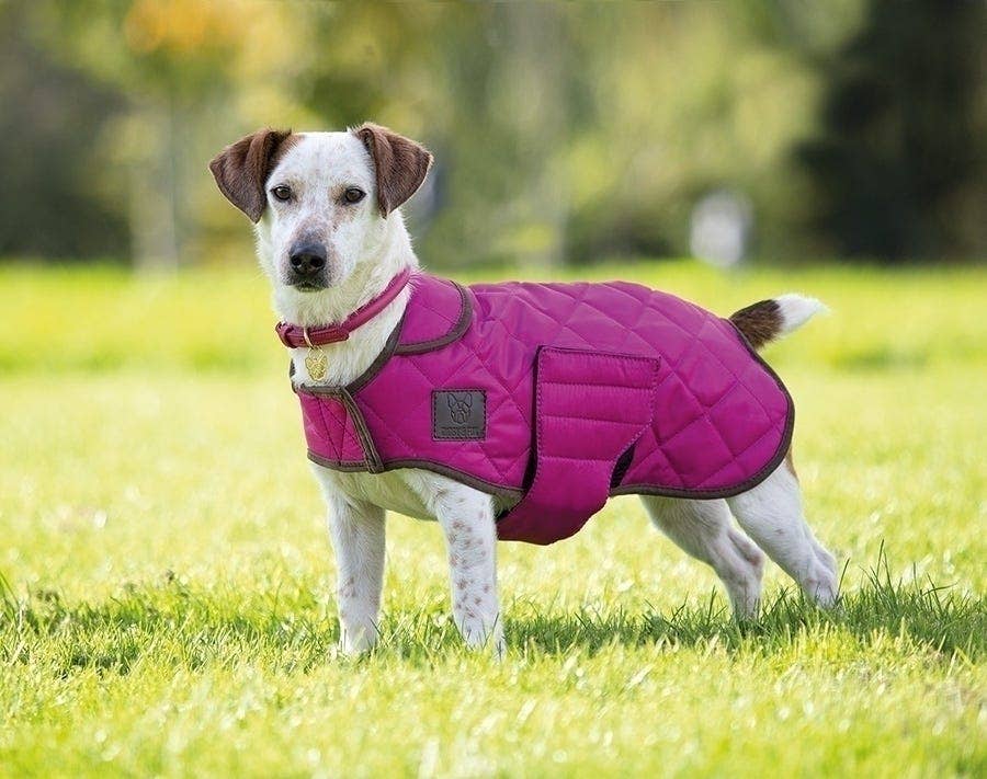 Digby & Fox Quilted Dog Coat