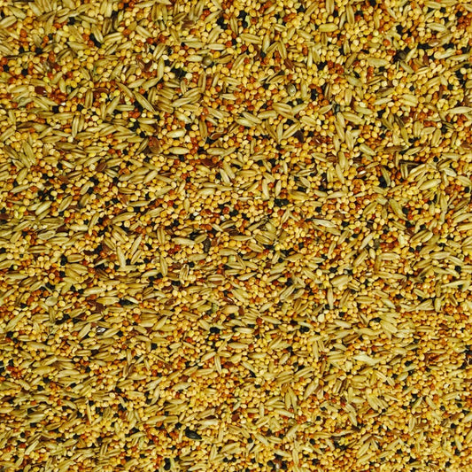 Buckton: Budgie Tonic 12.75kg