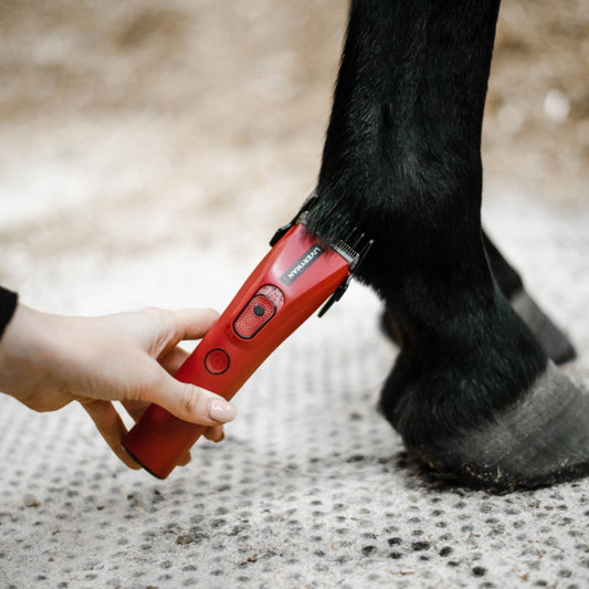 Liveryman: Trimmer Nova