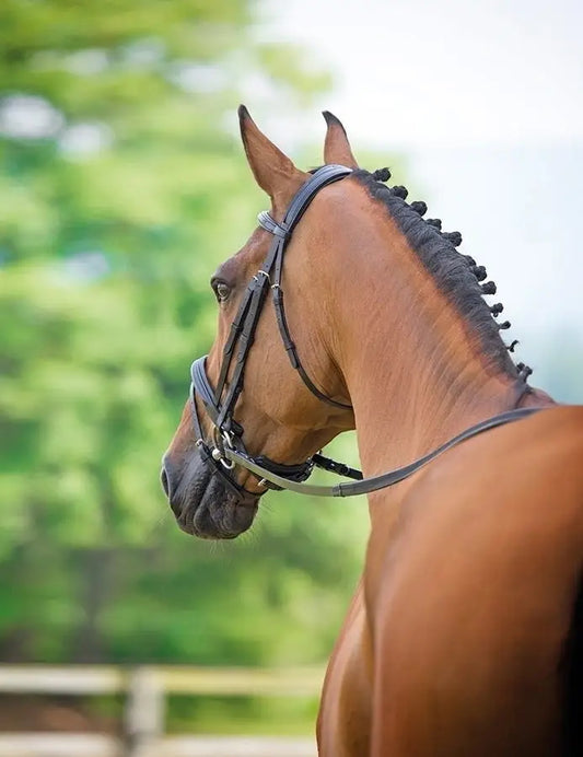 Bridleway Lavello Flash Bridle Crank Havana