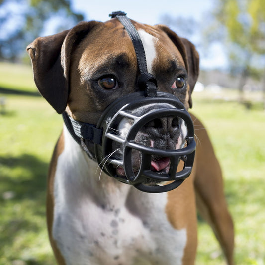 Baskerville Ultra Muzzle