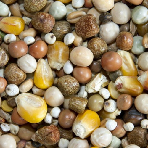 Bamfords: Top Flight Super Breeding 20kg