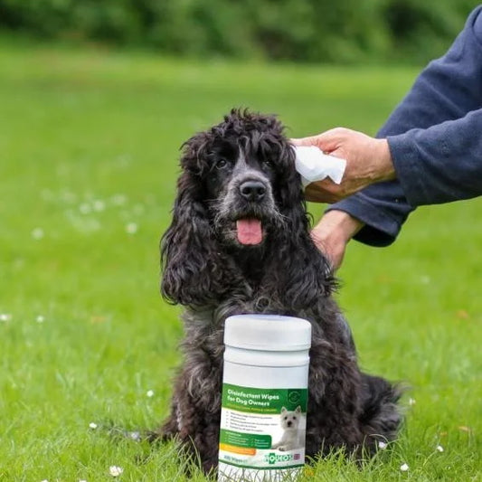 Aqueos: Sanitising Wipes 200''s