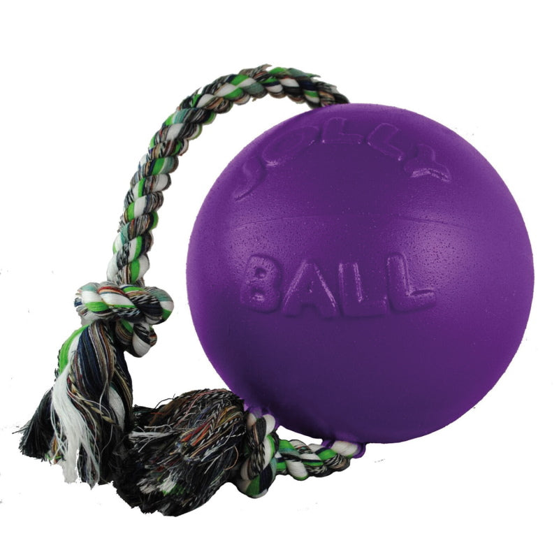 jolly pets romp n roll, purple