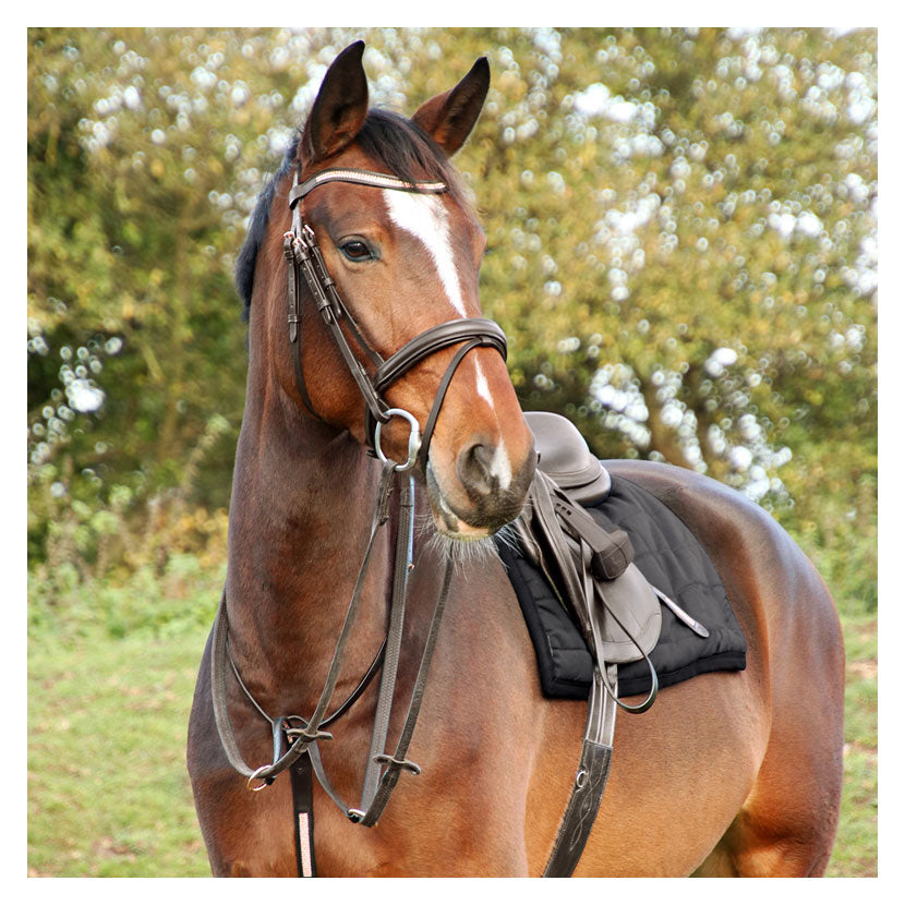 Hy Equestrian Rosciano Rose Gold/Brown Bridle