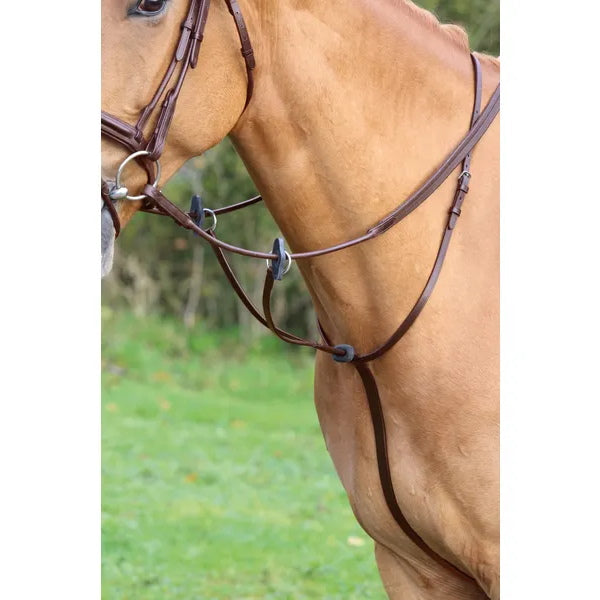 Aviemore Running Martingale Havana