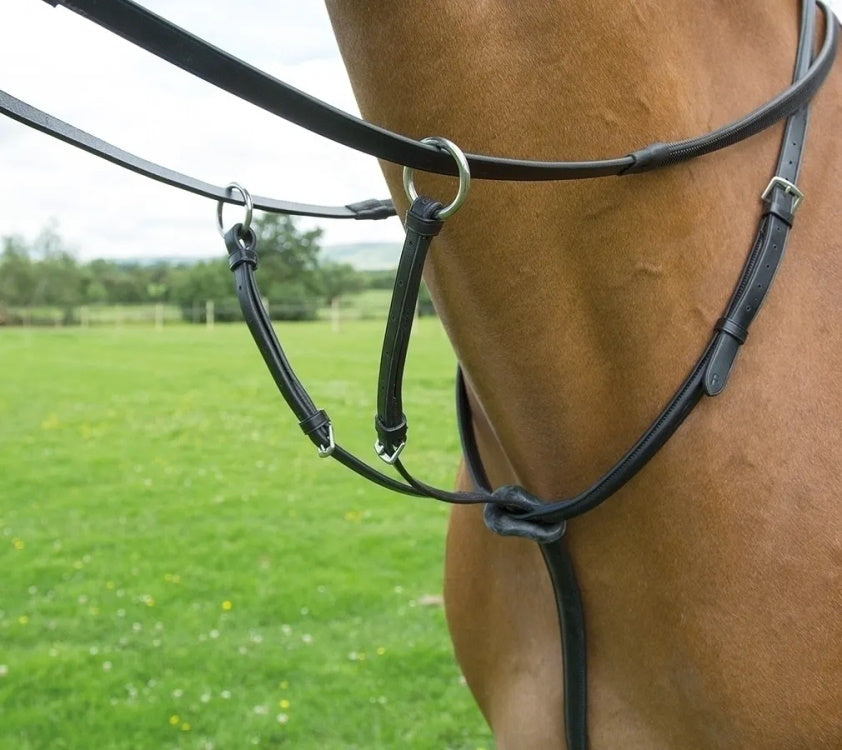 Bridleway Lavello Running Martingale Black