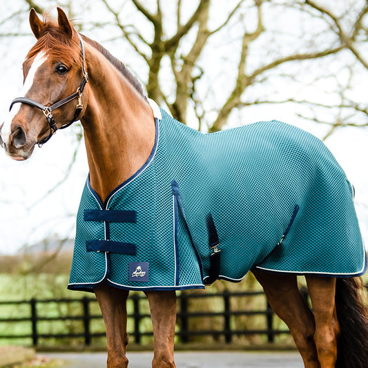 Mackey Shannon Air Cooler Petrol/White/Navy