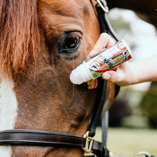 Leovet Power Phaser Roll On