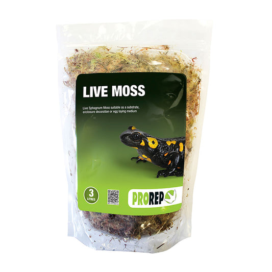 ProRep: Live Moss Large Bag (approx 3ltr)