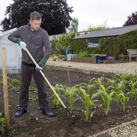 Wilkinson Sword: Carbon Steel Dutch Hoe