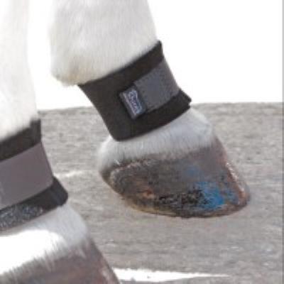 Pastern Wrap: Onesize