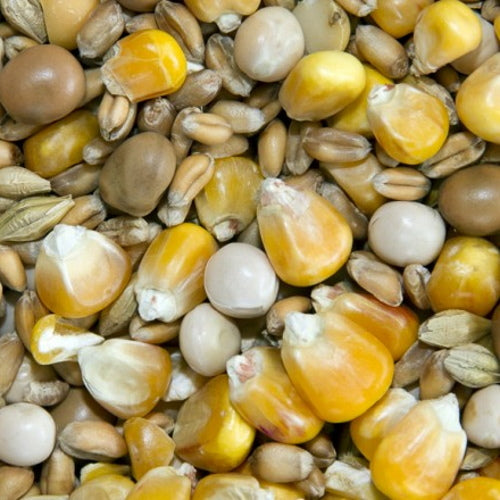 Bamfords: Top Flight Winter Economy 20kg