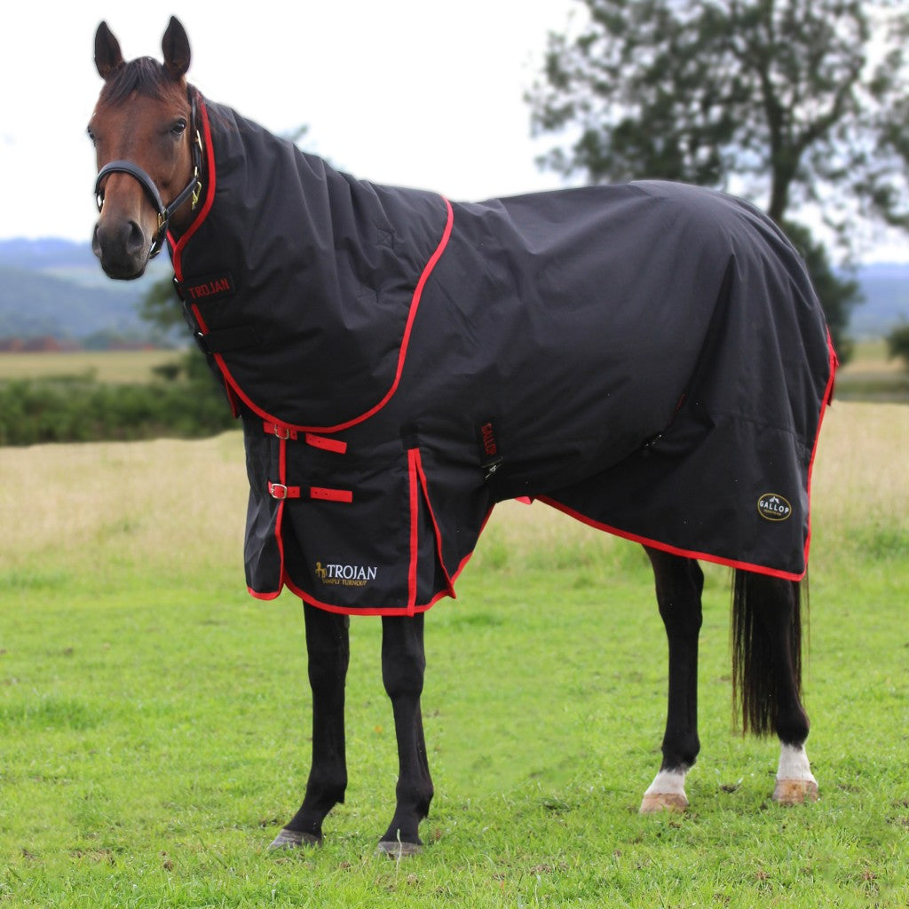 Gallop Trojan Dual Turnout 200g Rug & Neck Set
