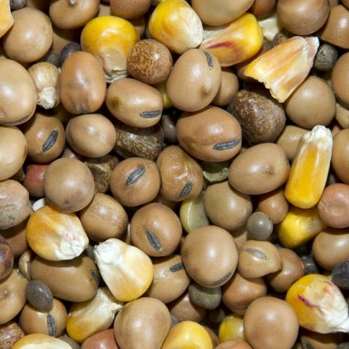 Bamfords: Top Flight Traditional Racing 20kg