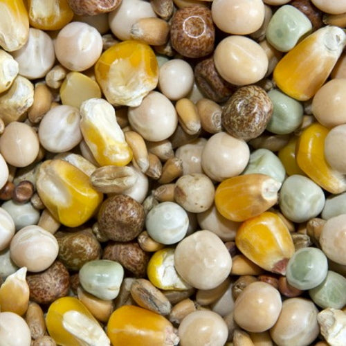 Bamfords: Top Flight High Protein Economy 20kg