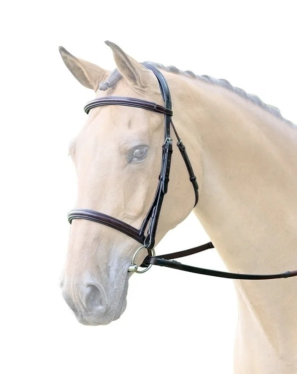 Bridleway Lavello Raised Cavesson Bridle Black