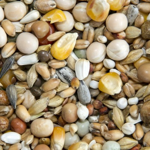 Bamfords: Top Flight Super Moulting 20kg