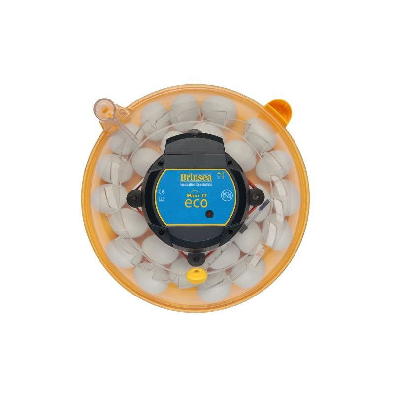 Brinsea: Maxi 11 Eco Incubator