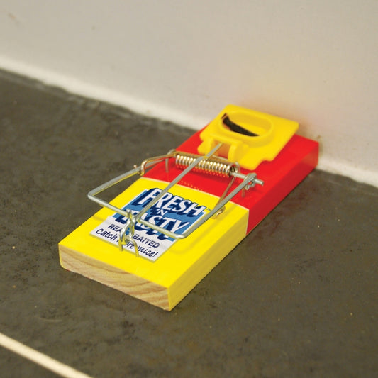 The Big Cheese: Fresh Baited Mouse Trap