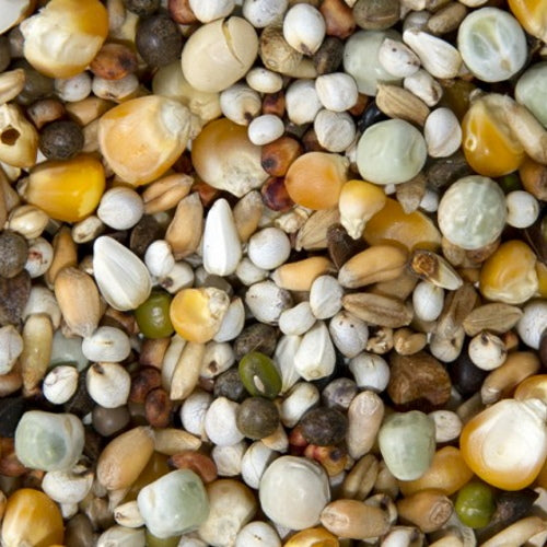 Bamfords: Top Flight Fast & Fancy 20kg