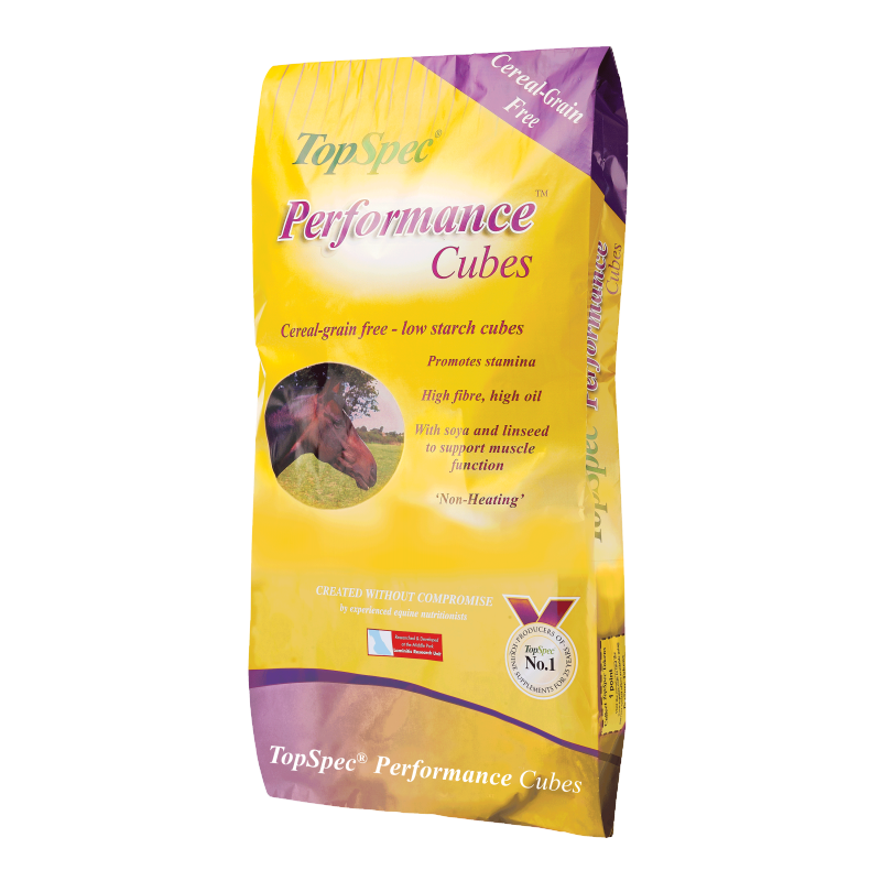 TopSpec: Performance Cubes 20kg