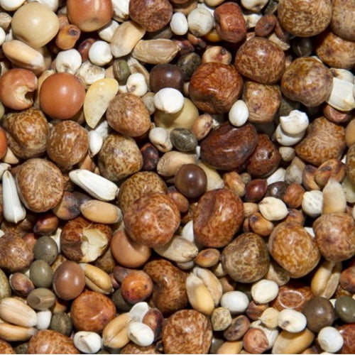 Bamfords: Top Flight Breed & Wean 20kg