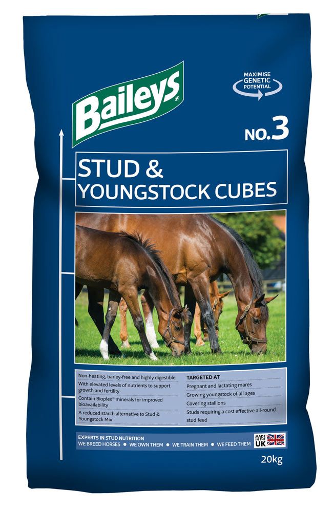 Baileys: No 3 Stud Cubes 20kg