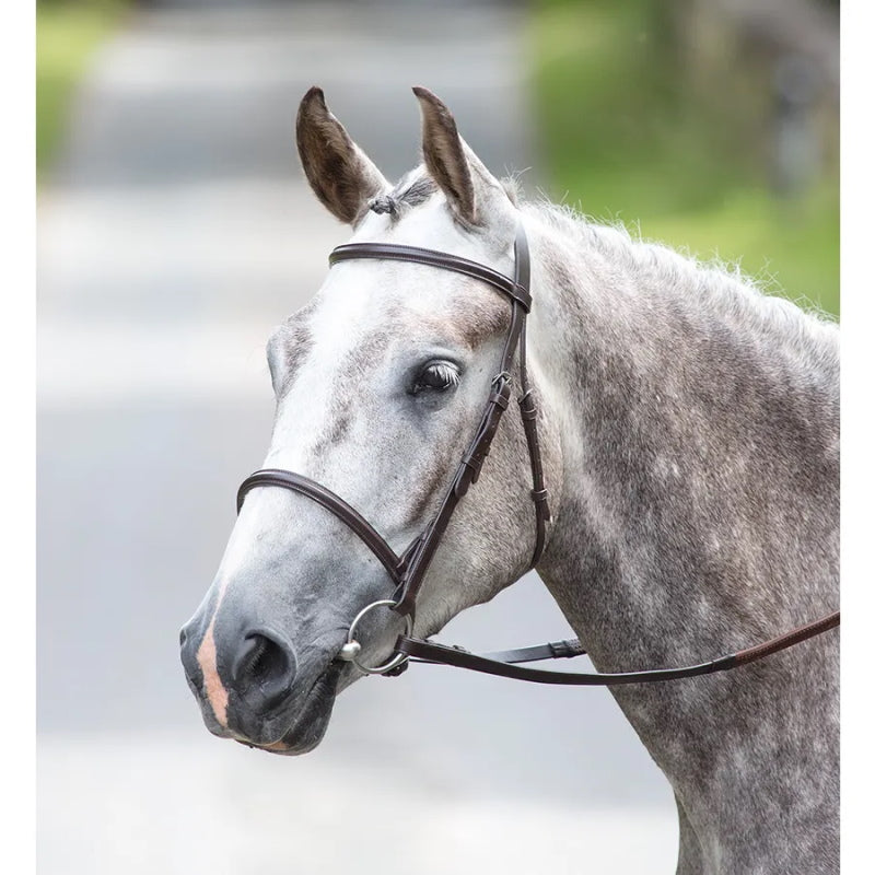 Bridleway Melton Raised Cavesson Bridle inc Reins