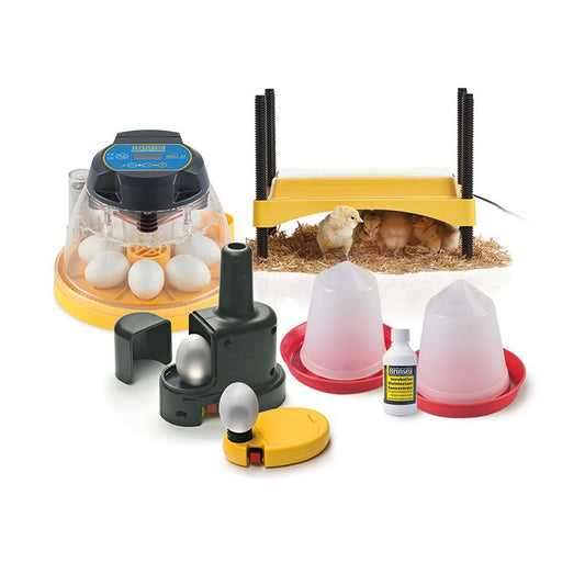 Brinsea: Mini 11 Advance Incubator Starter Kit