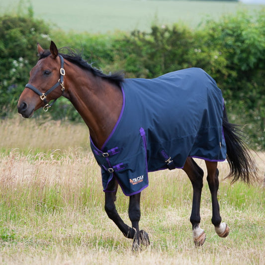 Gallop No Fill Turnout Rug