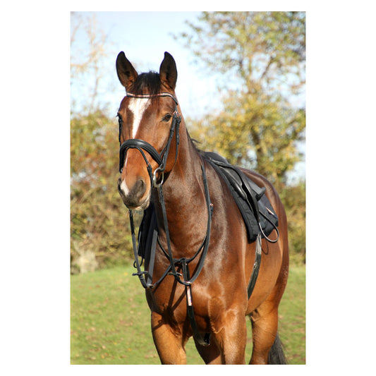 Hy Equestrian Rosciano Rose Gold/Black Bridle
