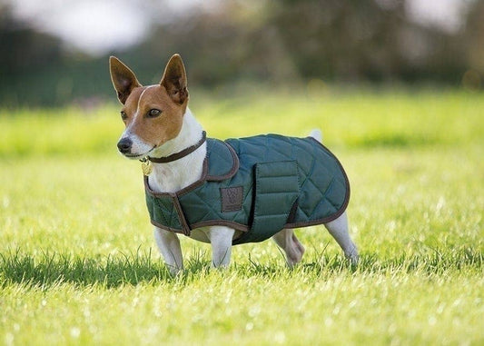 Digby & Fox Quilted Dog Coat