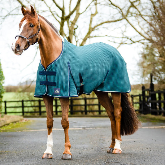 Mackey Shannon Air Cooler Petrol/White/Navy